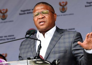 South African transport minister Fikile Mbalula