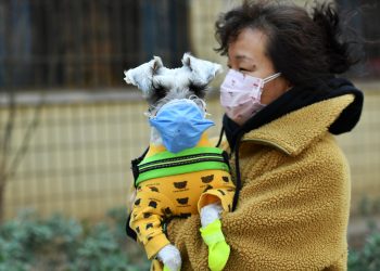 SHIJIAZHUANG, CHINA - MARCH 06: A woman with her pet dog, both wearing face masks, walks on street amid novel coronavirus spread on March 6, 2020 in Shijiazhuang, Hebei Province of China. (Photo by Zhai Yujia/China News Service via Getty Images)