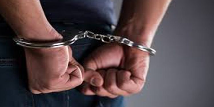 Man kills pregnant sister-in-law, brother, nephew; uses Ganesh pandal as alibi