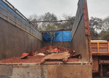 Truck with illegal iron ore seized