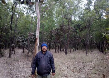 Man generates 5-acre forest to meet locals’ firewood needs