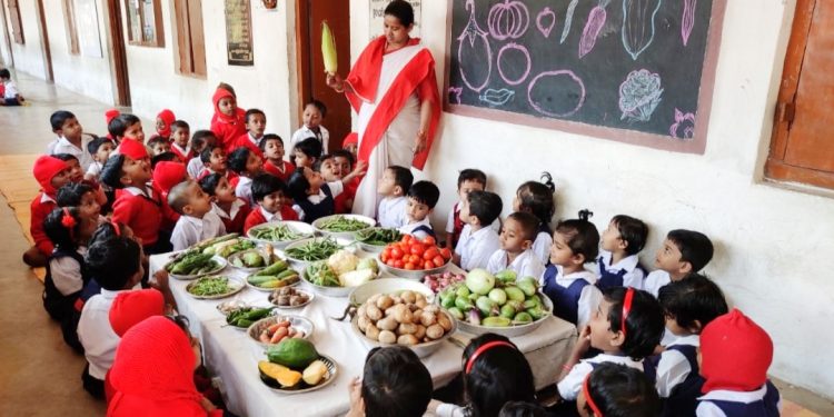 Veggie show