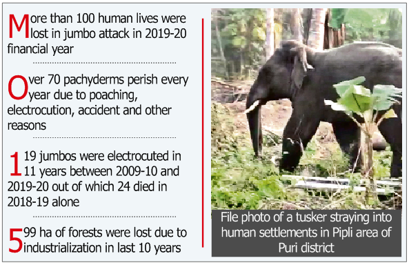 The rising trend of human-animal conflict - OrissaPOST The rising trend of human-animal conflict - OrissaPOST