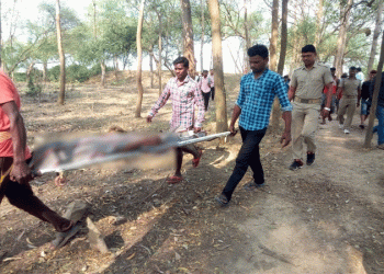 Woman's body found hanging from tree in Jajpur district, suicide suspected