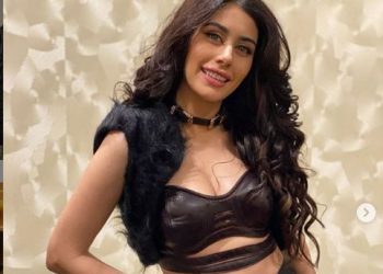 ‘Loveyatri’ actress Warina Hussain teases her fans; see pictures