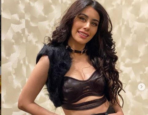 ‘Loveyatri’ actress Warina Hussain teases her fans; see pictures