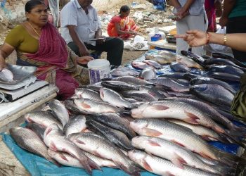 Bhubaneswar Unit-IV fish market relocated to Patel Marg