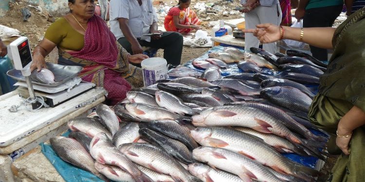 Bhubaneswar Unit-IV fish market relocated to Patel Marg