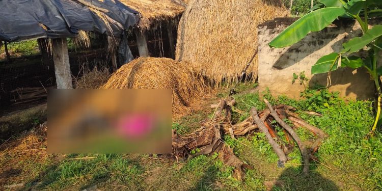 Unidentified body found in Angul, murder suspected