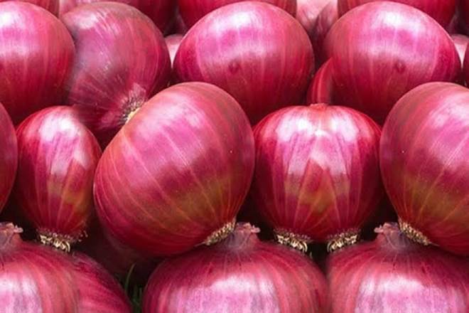 Onion export
