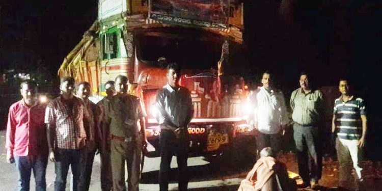 Timber for Rukuna Rath Yatra chariots reach Bhubaneswar