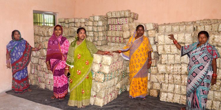 Palm leaf artisan families of Siddhamahaveer Chamar Sahi with the unsold palm leaf boxes