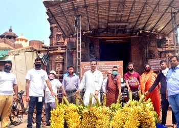 Volunteers feed Srimandir’s monkeys amid lockdown