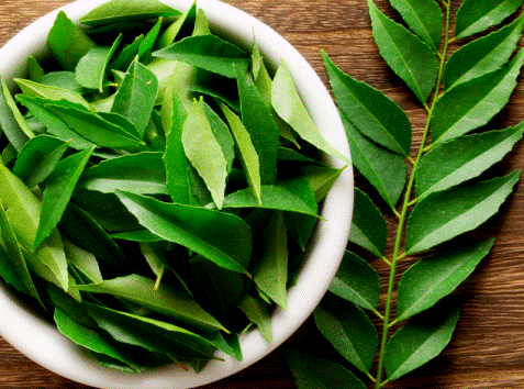 Are you suffering from diabetes? Take these leaves and control it sitting at home