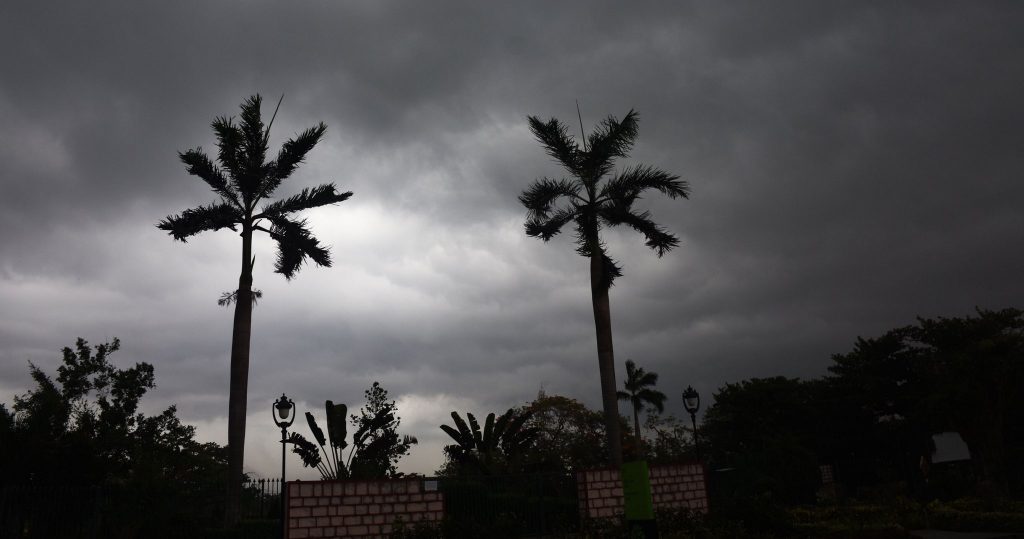 Odisha weather: These districts likely to experience light rain over next two days
