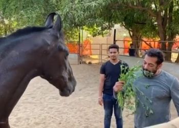 Salman Khan eats breakfast along with his horse; watch video