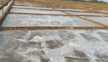 Salt farmers face lockdown heat in Ganjam