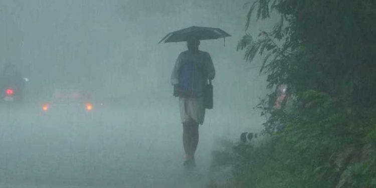 Thunderstorm and rainfall