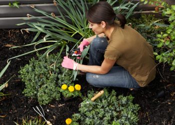 Gardening helps grow positive body image too