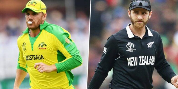 Aaron Finch and Kane Williamson