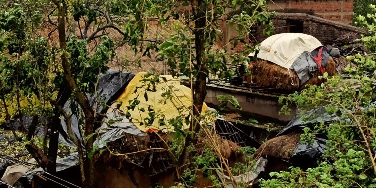 Bari block extensively damaged due to cyclone Amphan