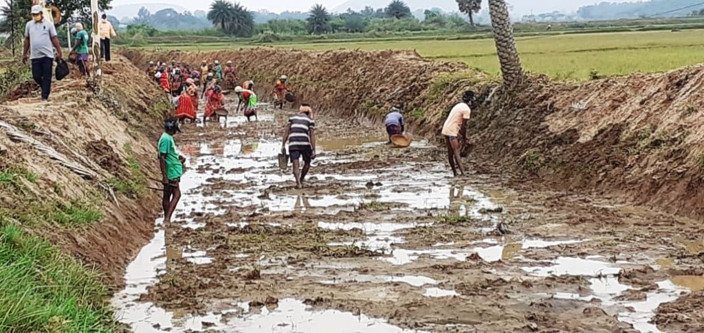 Dhenkanal district tops in Odisha in MGNREGA man-days generation