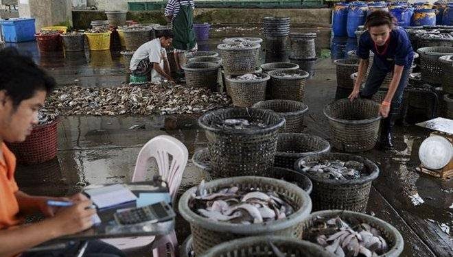 Fisheries