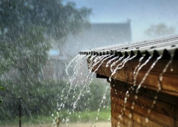 Rain alert: Heavy rains to lash 10 districts across Odisha