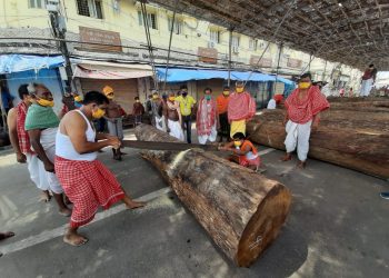Maharana servitors start chariot construction for Rath Yatra