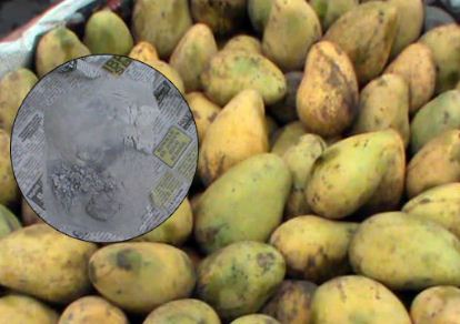In this mango season, here is how you can identify chemical-ripened mangoes 