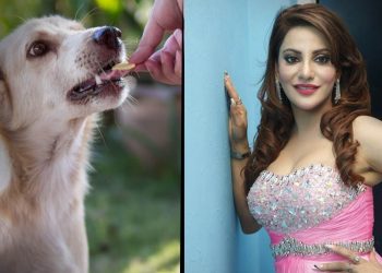 Model Preeti Soni plans to raise funds for animal care amid Covid-19