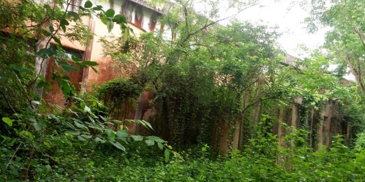 A call to revive Dhenkanal’s Kalinga Co-op Spinning Mill