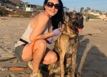 Actress Preity Zinta hits the beach with pet after 104 days