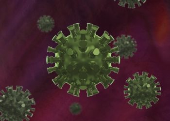 Photo courtesy: Pixabay