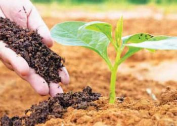 Balasore DLTC urges farmers to focus on ‘organic farming’