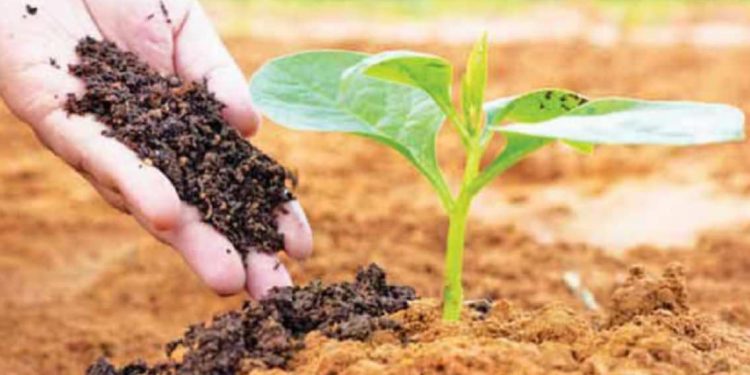 Balasore DLTC urges farmers to focus on ‘organic farming’