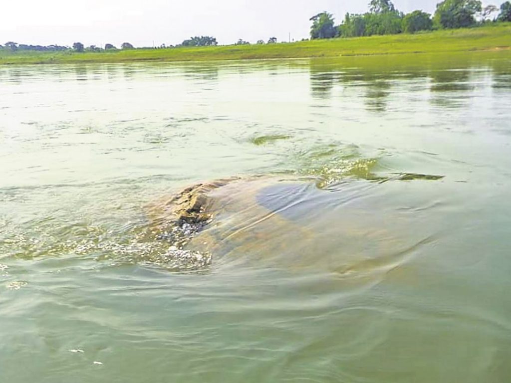 Facts about the Gopinath temple that emerged from River Mahanadi in Nayagarh