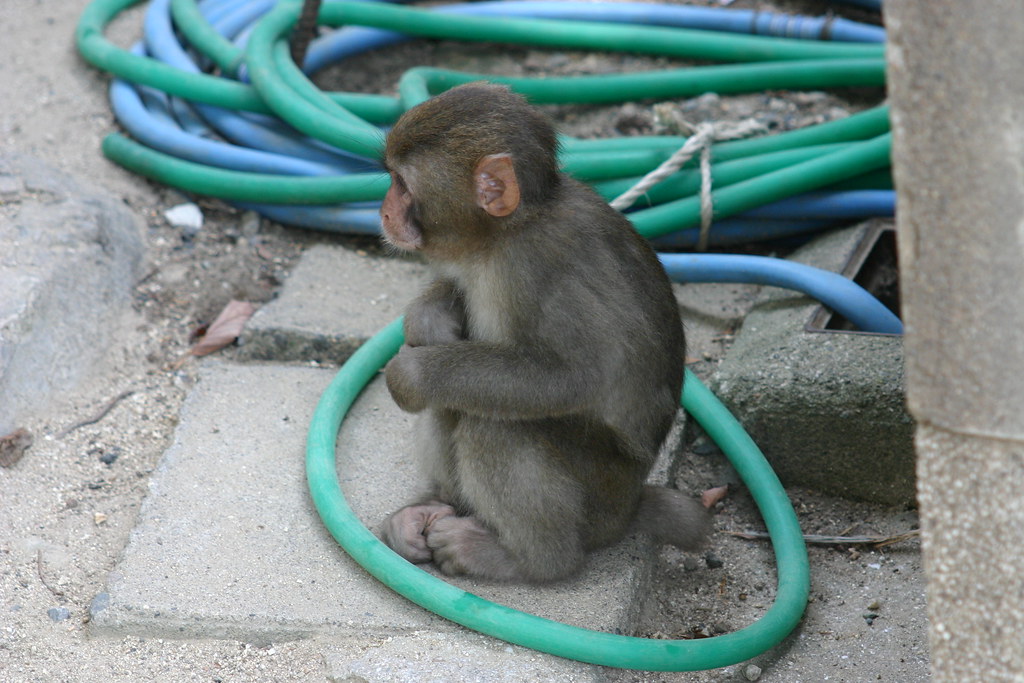 Representative pic