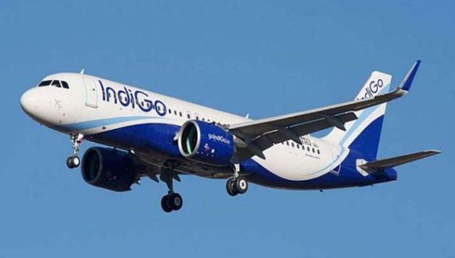 Indigo emergency door