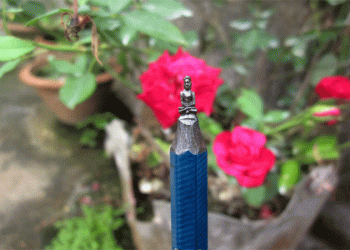 International Yoga Day Odia miniature artist crafts man performing yoga on pencil nib
