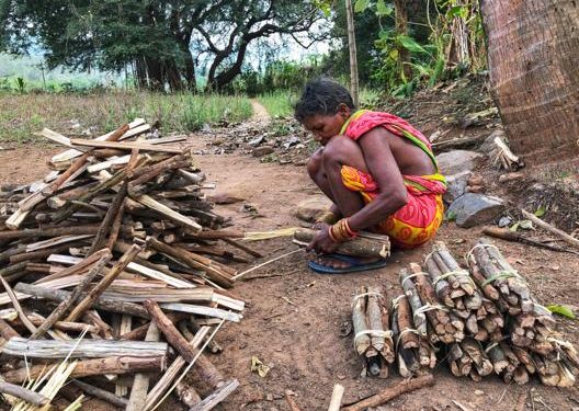 Evicted tribal families awaiting rehabilitation