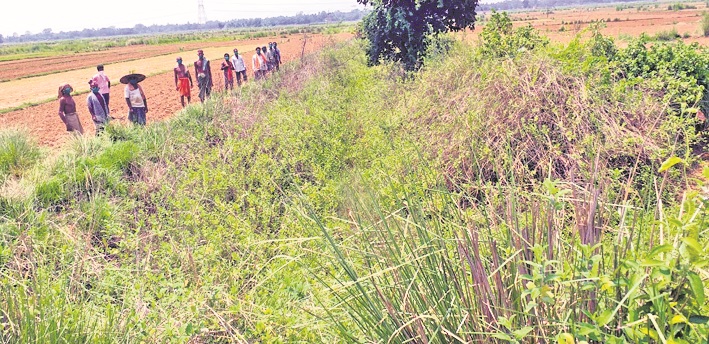 Once a boon, Kandasara drain becomes a bane for Jajpur farmers