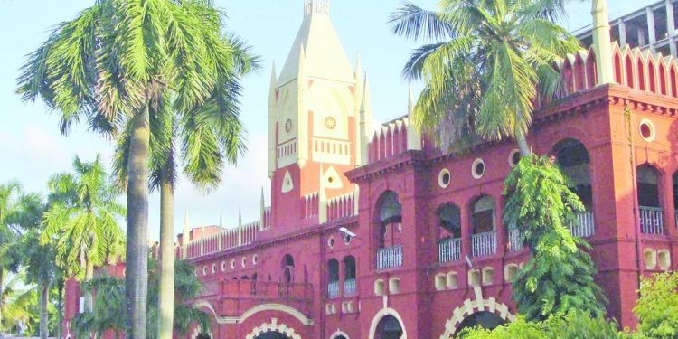 Orissa HC grants bail to accused on condition of planting 100 saplings