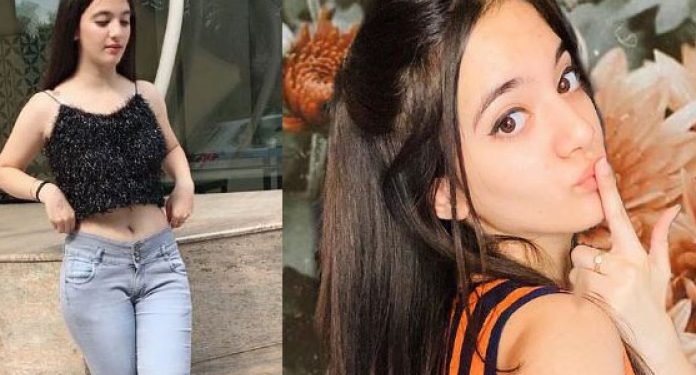 Did TikTok star Siya Kakkar commit suicide for receiving threats on social media?