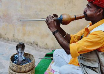 Strange Indian village where people give snakes in dowry