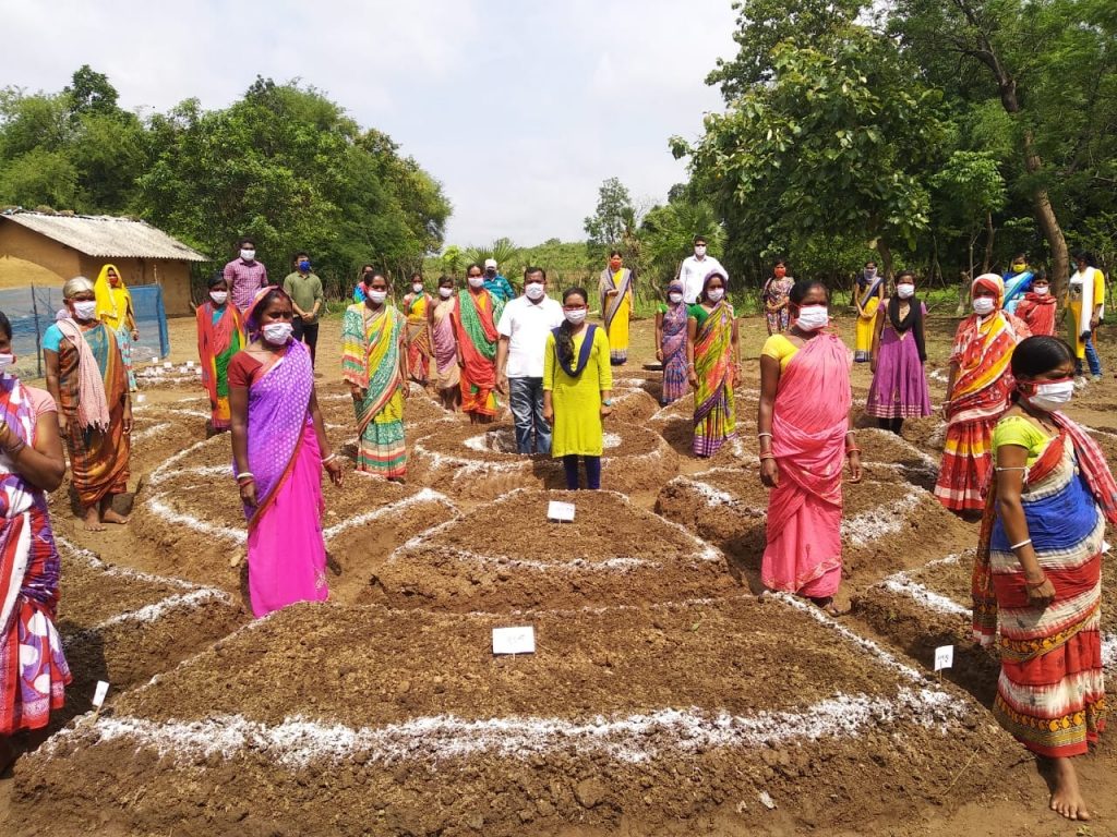Nutrition Garden