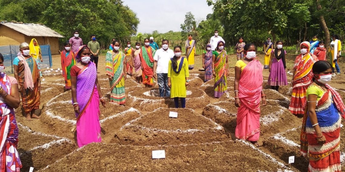 Nutrition Garden