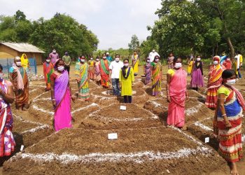 Nutrition Garden