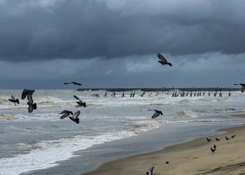 Cyclone Nisarga