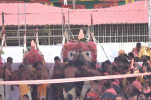 Preparation begins for Snana Purnima ritual at Puri Jagannath temple